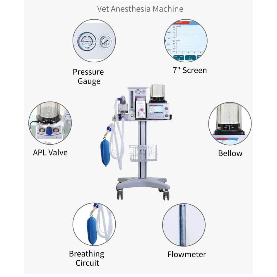 Exotic Animal Anesthesia Machine DL10E